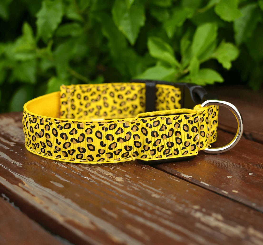 Collar LED Reflectante - Animalia Prime