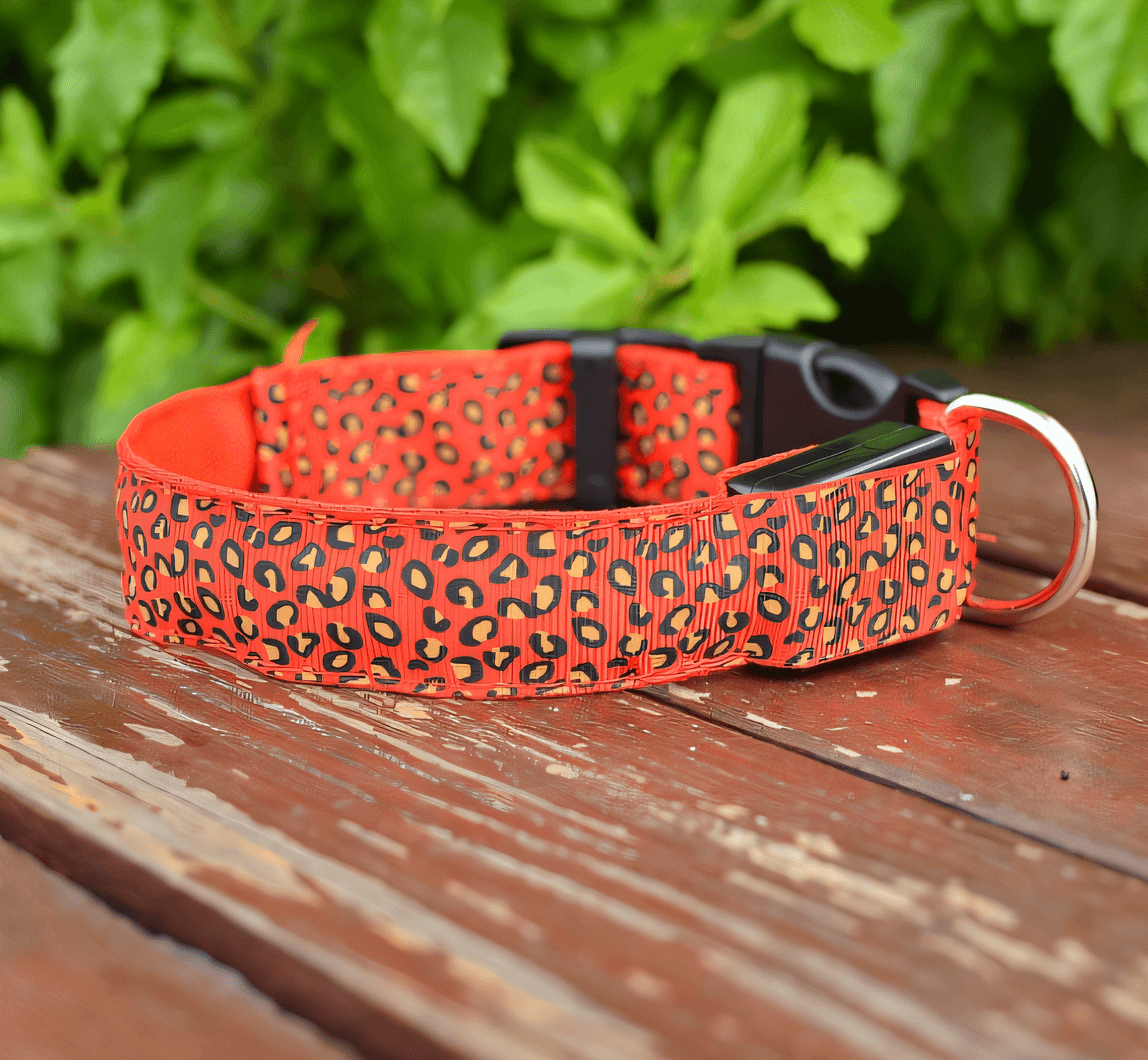Collar LED Reflectante - Animalia Prime