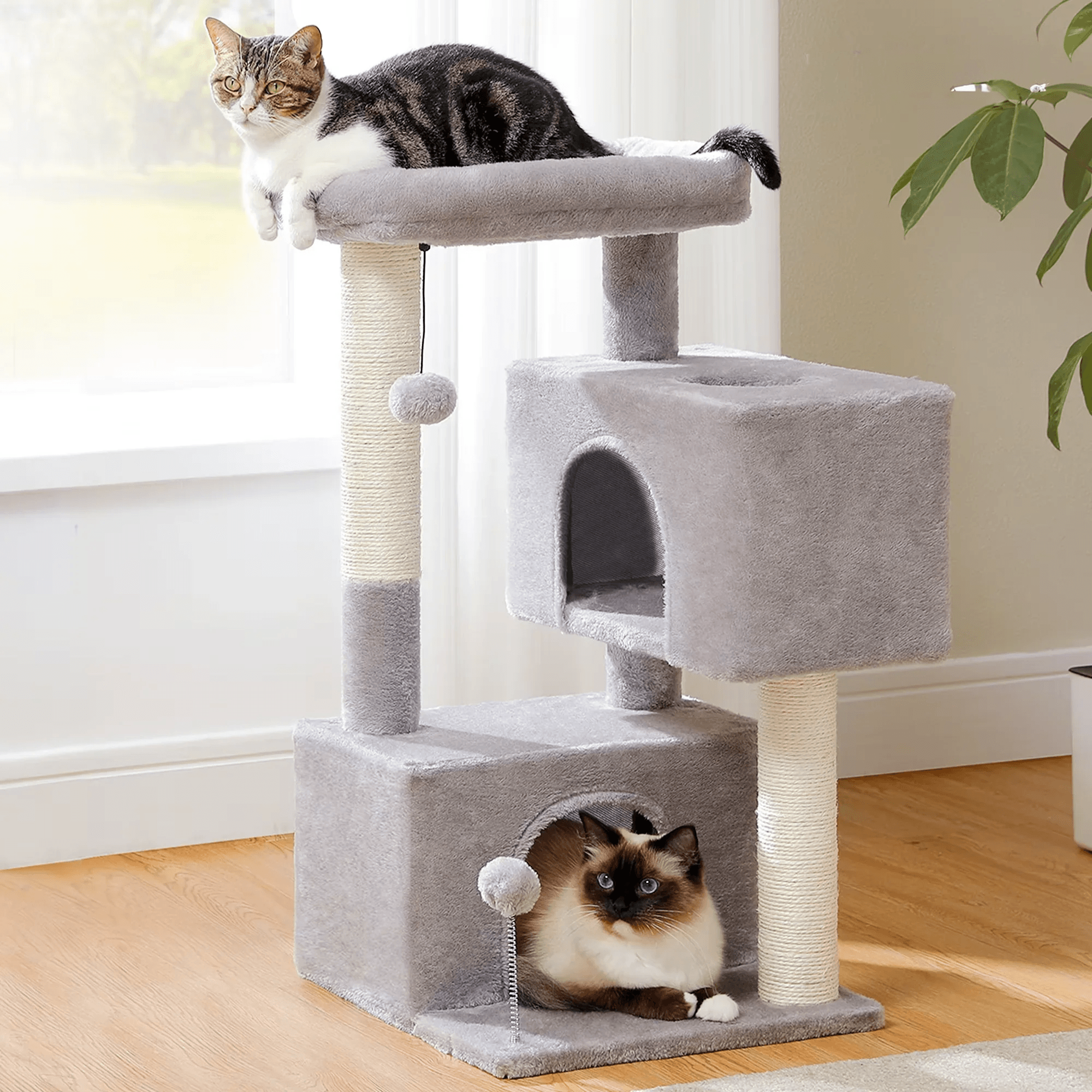Torre para gatos - Animalia Prime