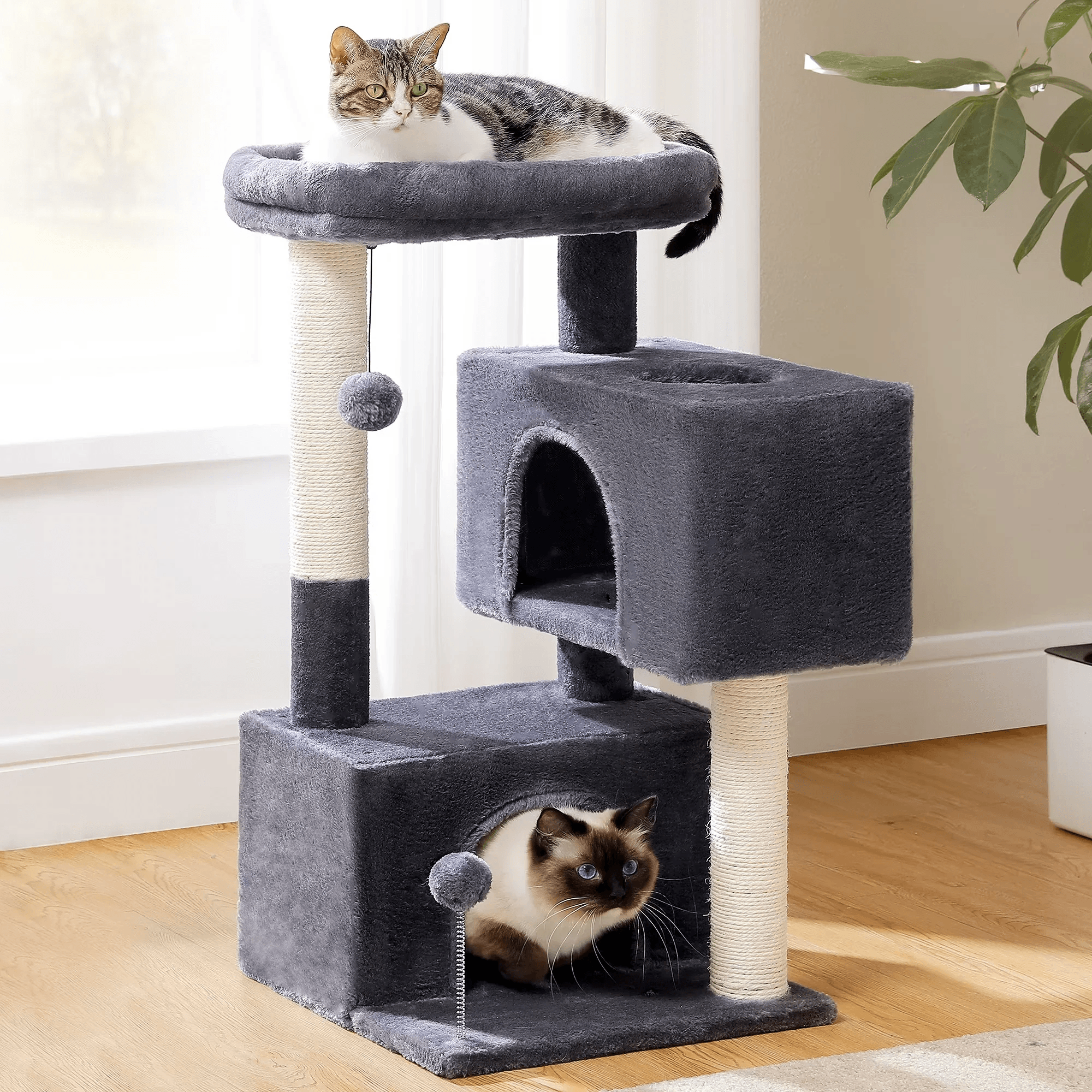 Torre para gatos - Animalia Prime