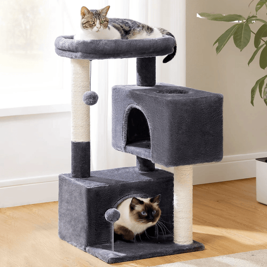 Torre para gatos - Animalia Prime