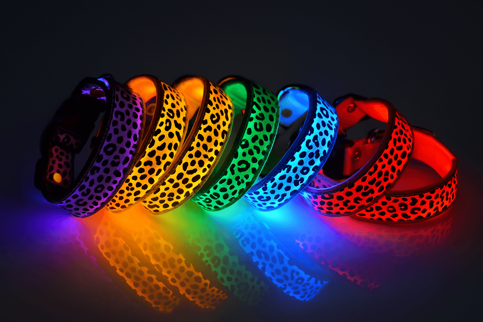 Collar LED Reflectante - Animalia Prime